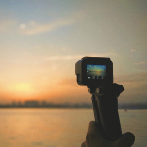 熟妇荡欲视频在线
