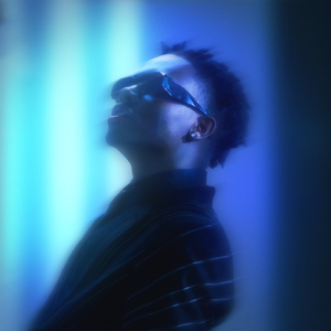 熟妇荡欲视频在线
